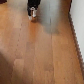 遊ぶらしいですの画像