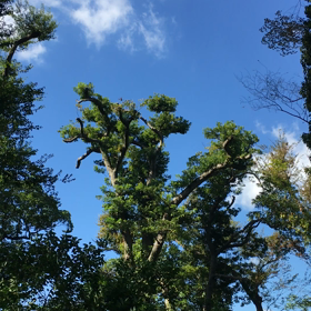 天気よし。の画像