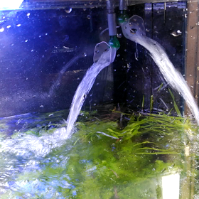 水流問題の画像