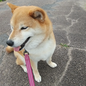 冷蔵庫整理。の画像