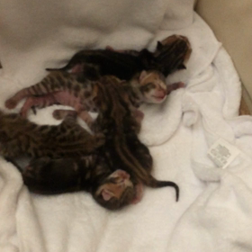 今日も元気ですの画像