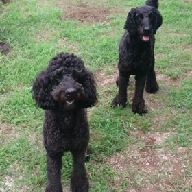 肌寒いくらい。の画像