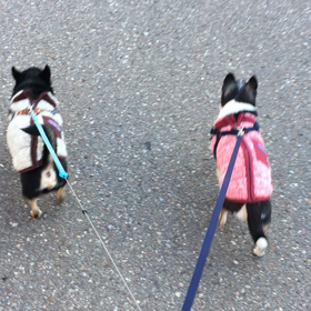 歯医者にいきましたの画像