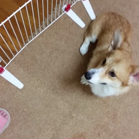 緩衝材の現在。の画像