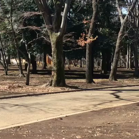 刺激走。の画像