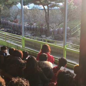 動物ショー オモロイよの画像