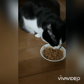 静かな雨とフォームチェックの画像