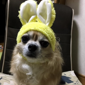 気持ちを代弁 (^q^)の画像