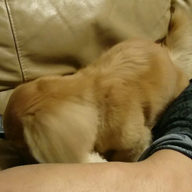 相棒と楽しく(^^)の画像