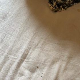 そうだったんだ。の 画像