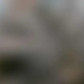 日曜日の桜散歩の画像