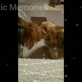 夕飯後のルーティンの画像