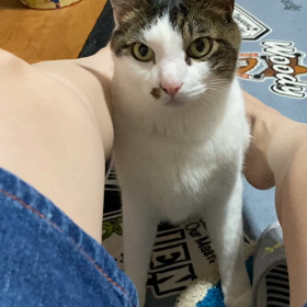 マッサージの画像