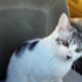 元気だよ♪の画像