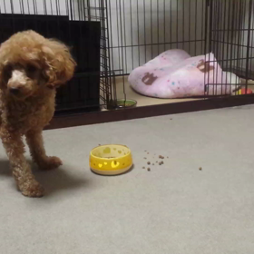 今のうちに☆の画像