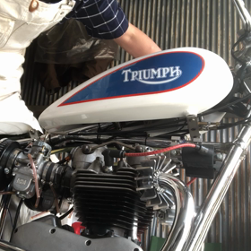 メグライアンフの画像