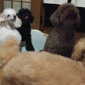 おやつタイムの画像