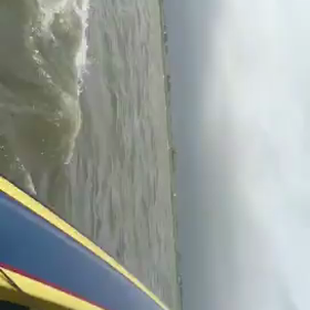 釣りにならない！の画像