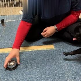 今日のさくらももこの画像