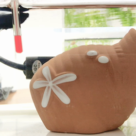 横泳ぎでエサ食べるキュートなベリー君の画像