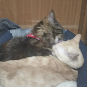 明日から14連休。。。の画像