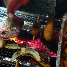 白神山地野営天の川大作戦（動画テスト２）の画像