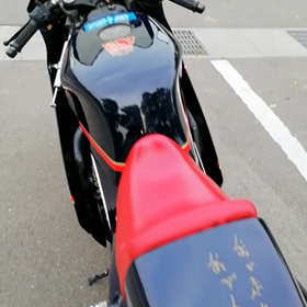 ガンマった日々の記録　その29 動ガンマろうの画像