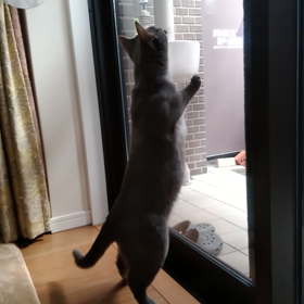 ジャ－ンプ！の画像