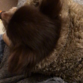 ☆可愛い孫☆の画像