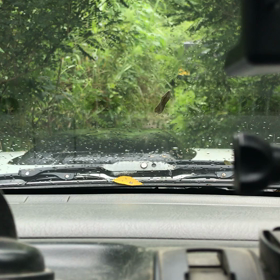 早朝のフィールドの画像