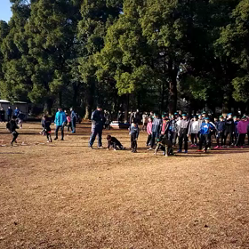 航空公園練習 ダッシュの場③の画像
