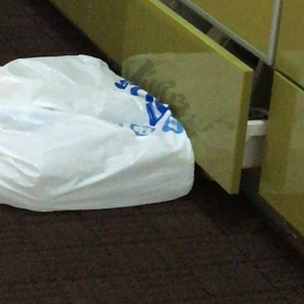 かくれんぼの画像