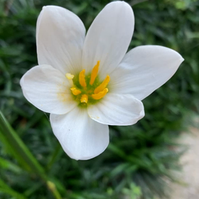 介護記録１６６（復活）の画像