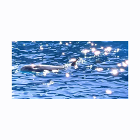 『光が綺麗な日』の画像