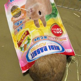 マロン衝撃映像の画像