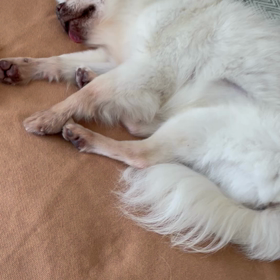 応募締め切りせまるの画像