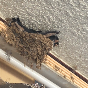 もうすぐの画像