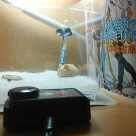 ちっちゃいカエルのちっちゃい動画。の画像