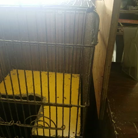 ふれあい　癒しの画像