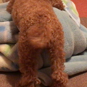 お金を積んでも出来ないこと？の画像