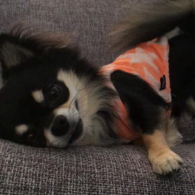 お誘い☆の画像