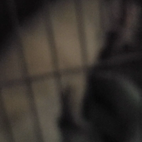 トワの容態が…の画像