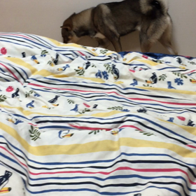 6回目の月命日の画像