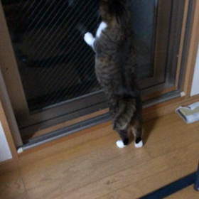 今凄く嫌な気持ちなんですけど…マリーの訴え！の画像