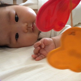 ミニジムの画像