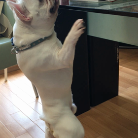 シアン君イタズラはやめてほしいの画像