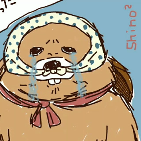 チョロ太からよぼーるさんへお祝いの言葉の画像