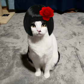 ちょっと疑問の画像