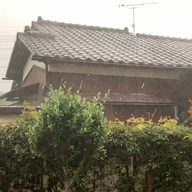 すごい　ヒョウでした。の画像