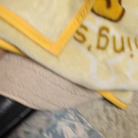 かくれんぼ？の画像